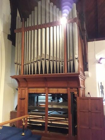 Organ